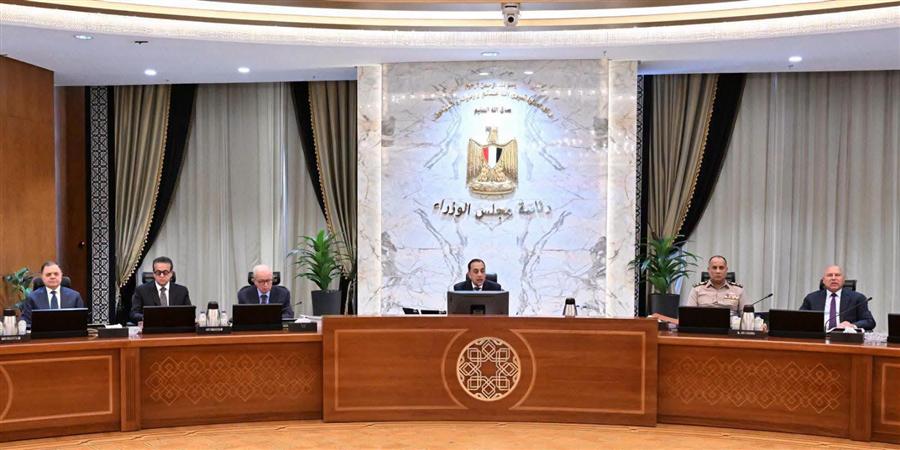 Egypt's Cabinet approves golden licenses to 2 renewable energy projects


